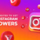 Top Instagram Followers Website Free