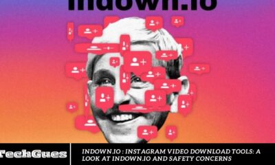 indown.io : Instagram Video Download Tools: A Look at indown.io and Safety Concerns