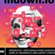 indown.io : Instagram Video Download Tools: A Look at indown.io and Safety Concerns