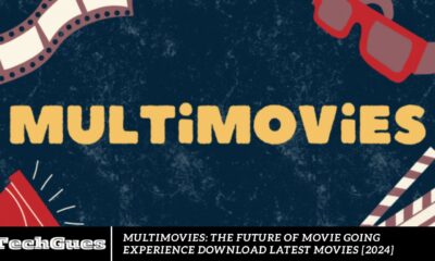 Multimovies: The Future of Movie Going Experience Download Latest Movies [2024]