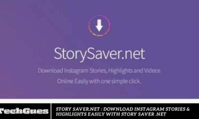 Story Saver.Net : Download Instagram Stories & Highlights Easily with Story Saver .net