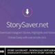 Story Saver.Net : Download Instagram Stories & Highlights Easily with Story Saver .net