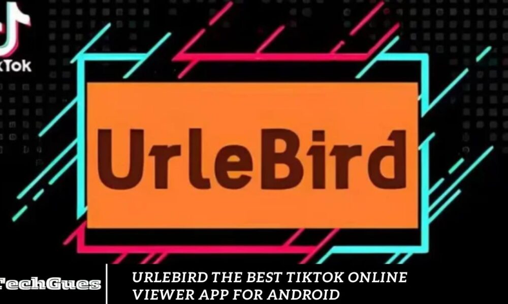 Urlebird The Best TikTok Online Viewer App for Android