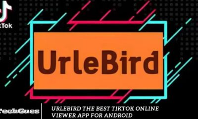 Urlebird The Best TikTok Online Viewer App for Android