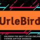 Urlebird The Best TikTok Online Viewer App for Android