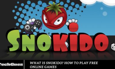 What is Snokido? How to Play Free Online Games