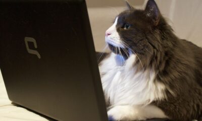 laptop showing browser privacy settings