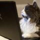 laptop showing browser privacy settings