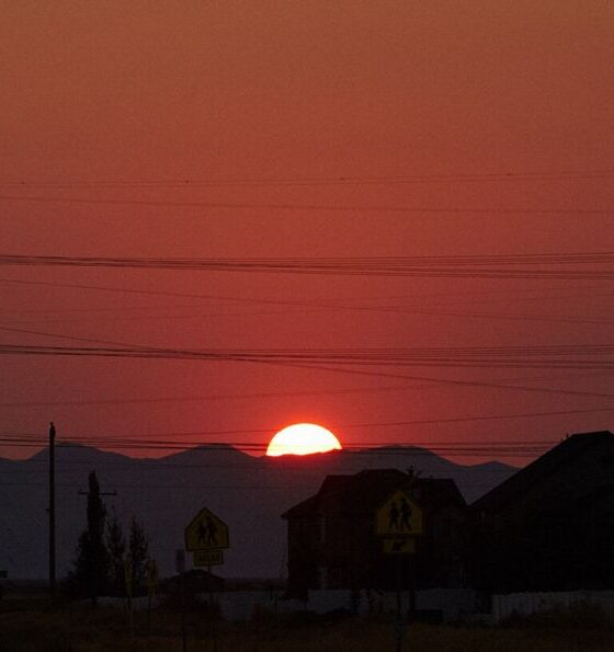 Electricity pylons at sunset